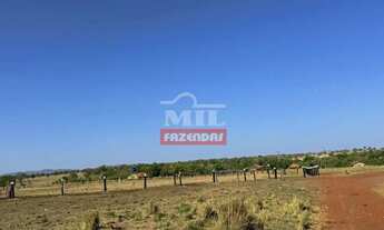 Imagem 4: Fazenda 198 Alqueire (958 hectares) Araguapaz - GO