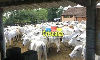 Imagem 7: Terreno à venda, 1258400 m² por R$ 9.500.000,00 - Fazendinha - Araruama/RJ