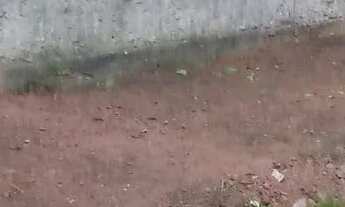 Imagem 2: TERRENO IMENSO DOCUMENTADO EM GUARATIBA