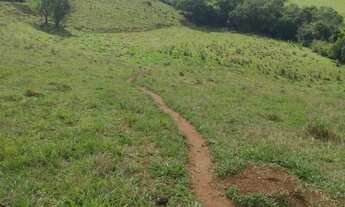 Imagem 3: Oportunidade no Sul de Minas - Sítio em Ipuiuna - 2,5 alqueires