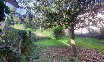 Imagem 2: Terreno - Bairro Avenida Central