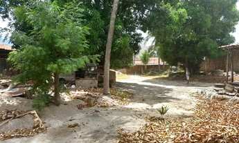 Imagem 3: Terreno Pronto para Construir ou Investir