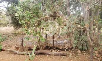 Imagem: Sítio no Setor Sítio de Recreio dos Bandeirantes