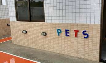 Imagem 5: Alugo apartamento de 1 quarto no Studio Design Holandeses - Mobiliado