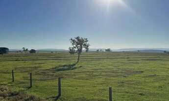 Imagem 4: R$125Milhoes. Fazenda 329 alqueires em Quirinópolis - GO