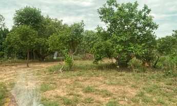 Imagem 4: Lote de chácara