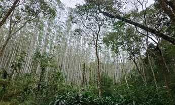 Imagem 4: Venda Fazenda 144 Hectares Taubaté