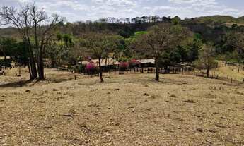 Imagem 3: Vendo fazenda de 17.5 Alqueires em Padre Bernardo Goiás próximo de Brasília DF