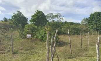 Imagem 3: TERRENO DE 1500m² EM SANTO AMARO