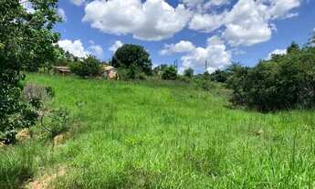 Imagem 5: Terreno 4.5 ha, 100% formado em pastagem, agua corrente nos fundos, pomar