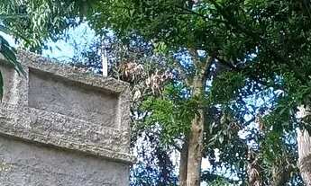 Imagem: Casa grande em manilha itaborai R$ 85.000