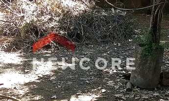 Imagem 3: Lote em Rua Analito Pinto Monteiro - Savassi - Ribeirão das Neves/MG