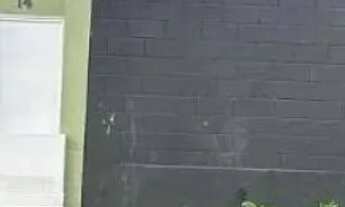 Imagem 2: Galpão LOCAÇÃO com 260 m2 - Vila Guilherme - SP