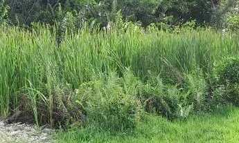 Imagem 2: Terreno à venda, 240 m² por R$ 420.000,00 - Recreio dos Bandeirantes - Rio de Janeiro/RJ