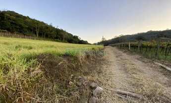 Imagem 2: Terreno Vila Lobos Caxias do Sul