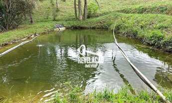 Imagem 3: Chácara com bosque, tanque de peixes, área de plantio à venda, 6.631 m² por R$ 230.000 - S