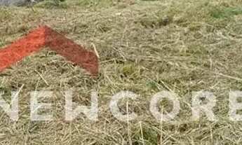 Imagem: Lote em Rua Marcolino Biondo - São Luiz