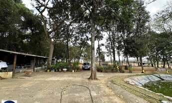 Imagem 5: Chácara à Venda em Bonfinópolis - GO