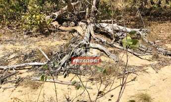 Imagem 6: Fazenda 960 alqueires (4.646 hectares) Colinas Do Sul - Go