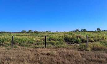 Imagem 5: Fazenda 1.717 hec pega 100% em permuta com renda, em porto alegre norte MT