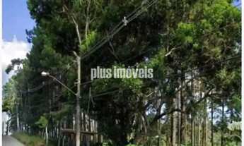 Imagem 4: EMBU-GUAÇU - CIPÓ DO MEIO - TERRENO COM 54.330.12M²