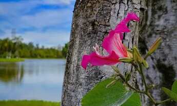 Imagem: Lote barato e seguro em Ibiúna, escritura