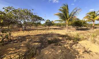 Imagem 5: Sítio em Lagoa Nova