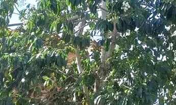 Imagem 2: Imóvel para venda tem 80 metros quadrados com 1 quarto em Setiba - Guarapari - ES