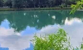 Imagem 7: LINDA CHÁCARA À VENDA 5.000 m² DE LAZER