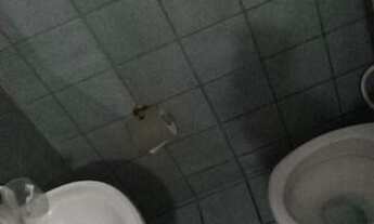 Imagem 7: Kitnet na avenida José Martins rato