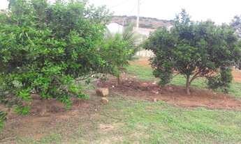 Imagem 6: Chacreamento Oasis Gv