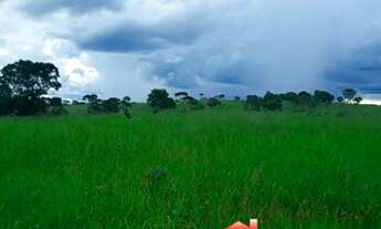 Imagem 3: Fazenda 30 Alqueirão ou [ 145 há] Em Gurinhatã -MG