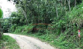 Imagem 5: Sítio para venda Santa Maria Antônio Carlos - 334