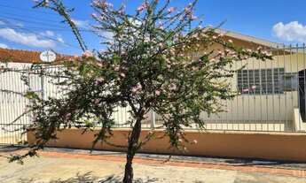 Imagem 3: Linda casa no Maria Lúcia/Sta Ritall