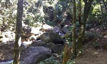 Imagem 5: Vendo Terreno 10.000m2 em Nova Iguaçu Tinguá - Sitio