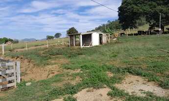 Imagem 7: Sitio em santo antonio da alegria 3.5 alqueires 1.100.000.00 ( cel