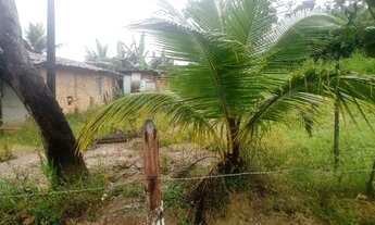 Imagem 4: Chácara por apenas 45 mil