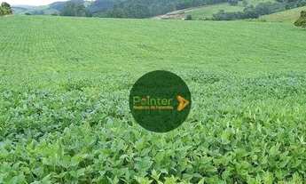 Imagem 2: Fazenda à venda, 3949439 m² por R$ 12.000.000 - Turvolandia - Turvolândia/MG