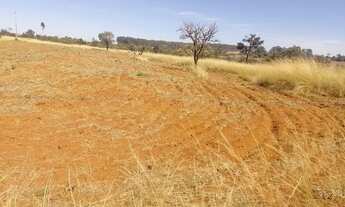 Imagem 2: Chácara a venda