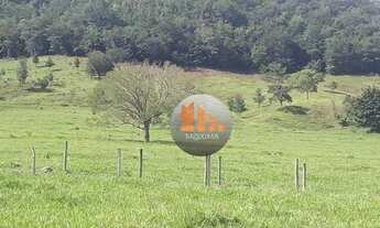 Imagem 5: Fazenda com 2 dormitórios à venda, 1548800 m² por R$ 6.400.000,00 - Zona Rural - Jesúpoli