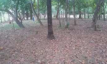 Imagem 3: Casa com piscina região da passagem da conceição