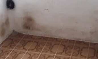 Imagem: Apartamento Cardeal da silva