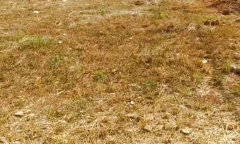 Imagem 4: 01 Terreno Terreno / lote com venda com preço sob consulta