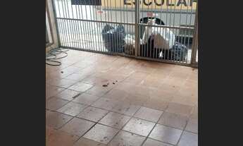 Imagem 7: São Paulo - Casa Padrão - Sacomã