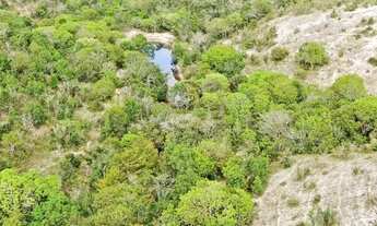 Imagem 6: FAZENDA EM MATA DE SÃO JOÃO EXCEPCIONAL LOCALIZAÇÃO OPORTUNIDADE