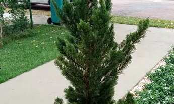 Imagem 7: Casa a venda no condomínio Belvedere em Cuiabá MT