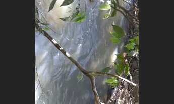 Imagem 4: Vendo chácara em Cromínia com escritura