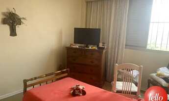 Imagem 5: São Paulo - Apartamento Padrão - Tatuapé