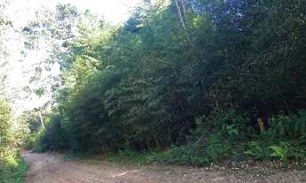 Imagem 4: Sítio / Chácara para Venda em Bocaiúva do Sul