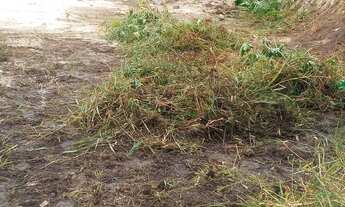 Imagem 3: Vende-se um terreno em porto seguro Bahia